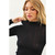Sheer Ribbed Knit Top in Mock Turtleneck - Black