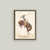 Bucking Bronco Framed Antique Art 11x15