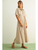 Striped Buttondown Shirt Dress - BROWN STRIPE