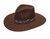 LADIES PINCH FRONT BROWN HAT