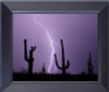 Great Arizona Desert Lightning With Cactus Evening Very Rare Photo Framed Art Photograph Print Framed Print