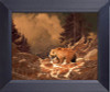 Grizzly Bear Trout Fishing The Streams Of The Rockies Framed Art Photograph Print Framed Print