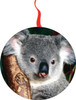 Koala Bear Christmas  Ornament