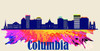 Columbia License Pate Watercolor Skyline Art