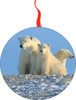 Polar Bears Christmas Ornament