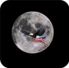 Set of 4 Coaters bald eagle aginst the moon with flag.jpg