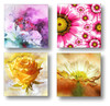 Set of 4 Coaters Flowers