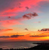 Set of 4 Coaters Hawaii Sunset