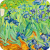 Set of 4 Coaters Van Gogh Iris Painting