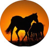 Set of 4 Coaters Wild Mustangs Horses Sunset