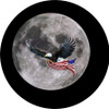 Set of 4 Coaters The Moon And Bald Eagle And Flag