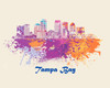 City Of Tampa Bay Watercolor Skyline Art