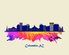 City Of Columbia Watercolor Skyline Art