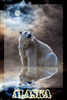 Alaska Save The Polar Bear