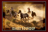 Idaho Wild Mustang Horse Roundup