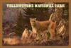 Yellowstone National Park Or You Might See A Mountain Lion Travel Poster