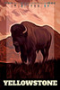 Yellowstone Buff 2 Travel Poster