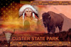Custer State Park South Dakota Buffalo Collage Travel Poster