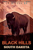 Black Church Buffalo Travel Poster