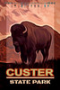 Custer State Park South Dakota Buffalo Travel Poster