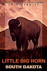 Little Big Horn - Copy Travel Poster