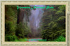 Redwood Trees Yosemite National Park Travel Poster