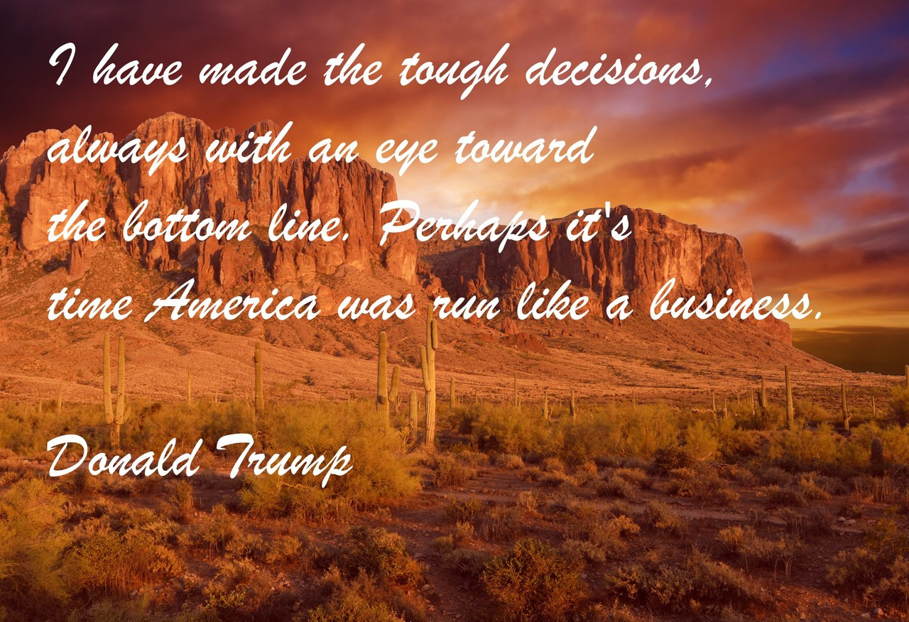 Poster  I Have Made The Tough Decisions,  Donald Trump
