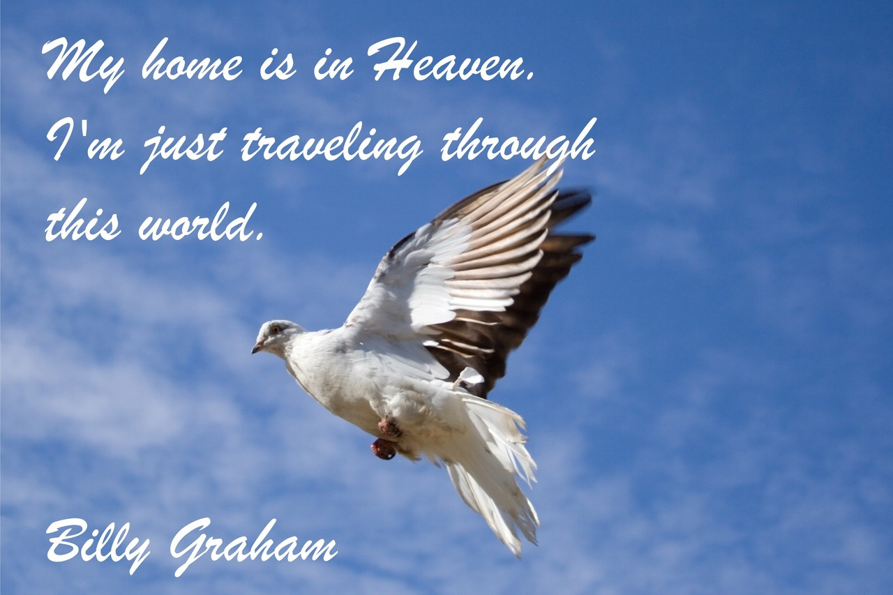 Poster  My Home Is In Heaven. I'm Just Traveling Through This World. Billy Graham