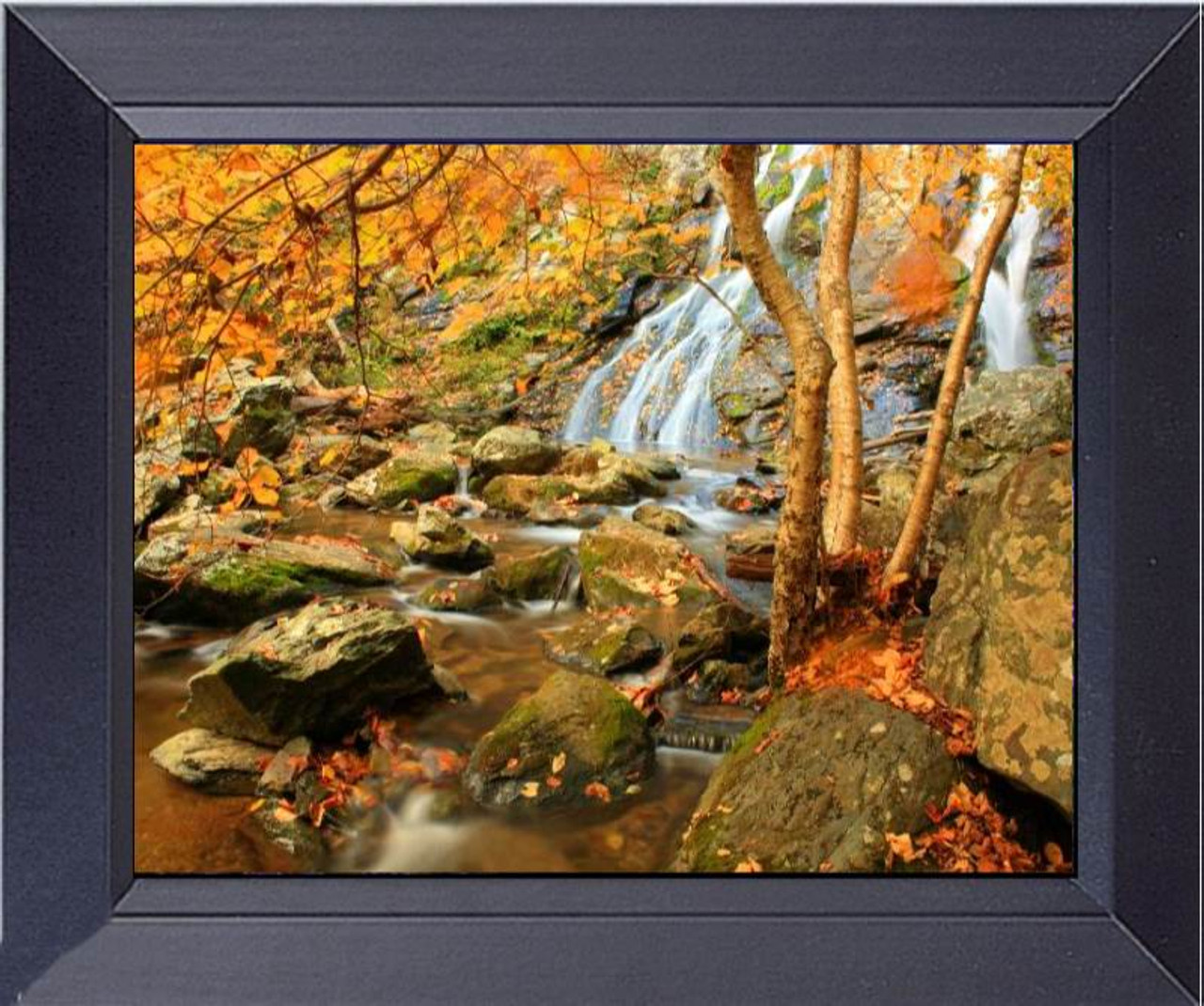 Waterfall In The Appalachian Mountains In The Autumn. Framed Art Photograph Print Framed Print