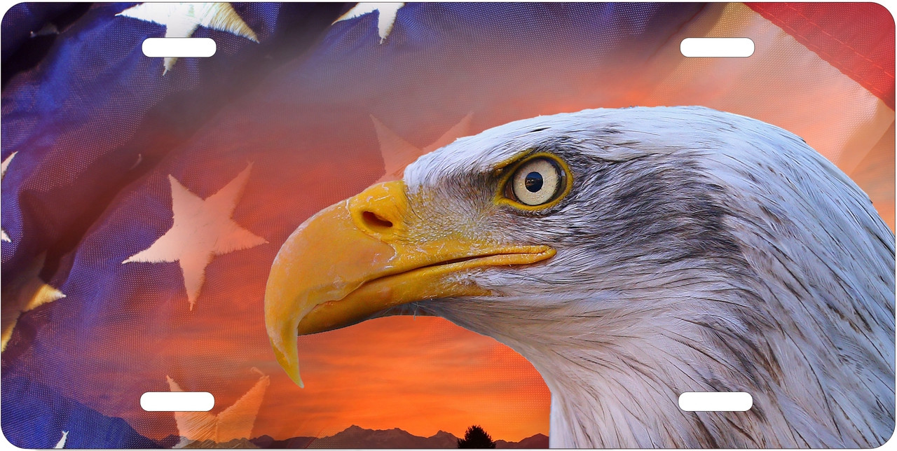 Bald Eagle And the American Flag Motivational