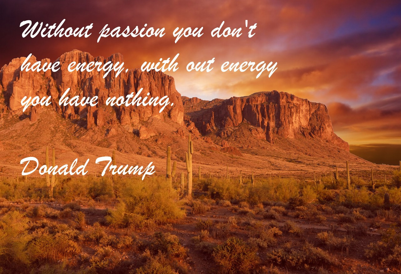 Famous Quote Poster  Without Passion You Don't Have Energy, With Out Energy You Have Nothing. Donald Trump