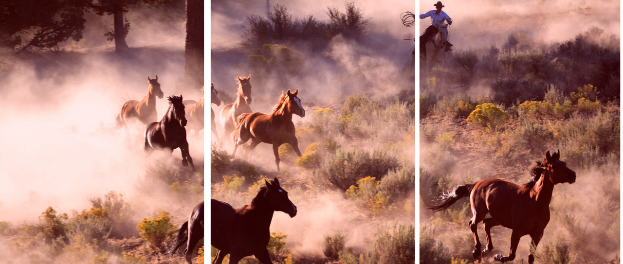 Horses Roundup at Sunset