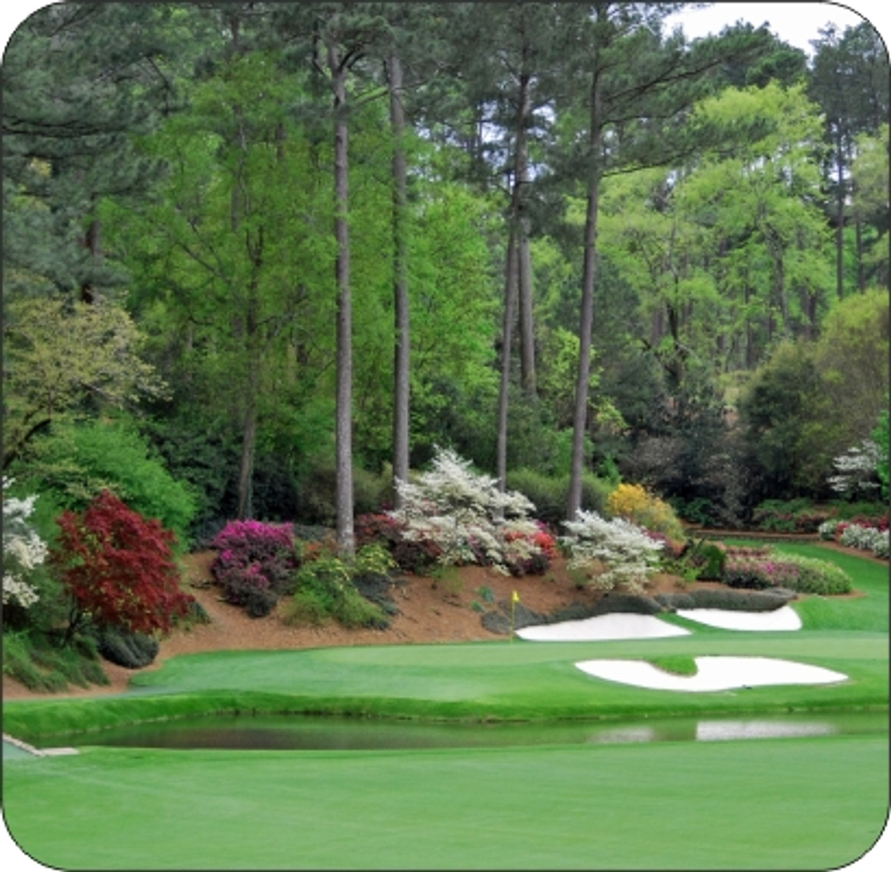 Set of 4 Coaters 12th Hole Augusta The Masters