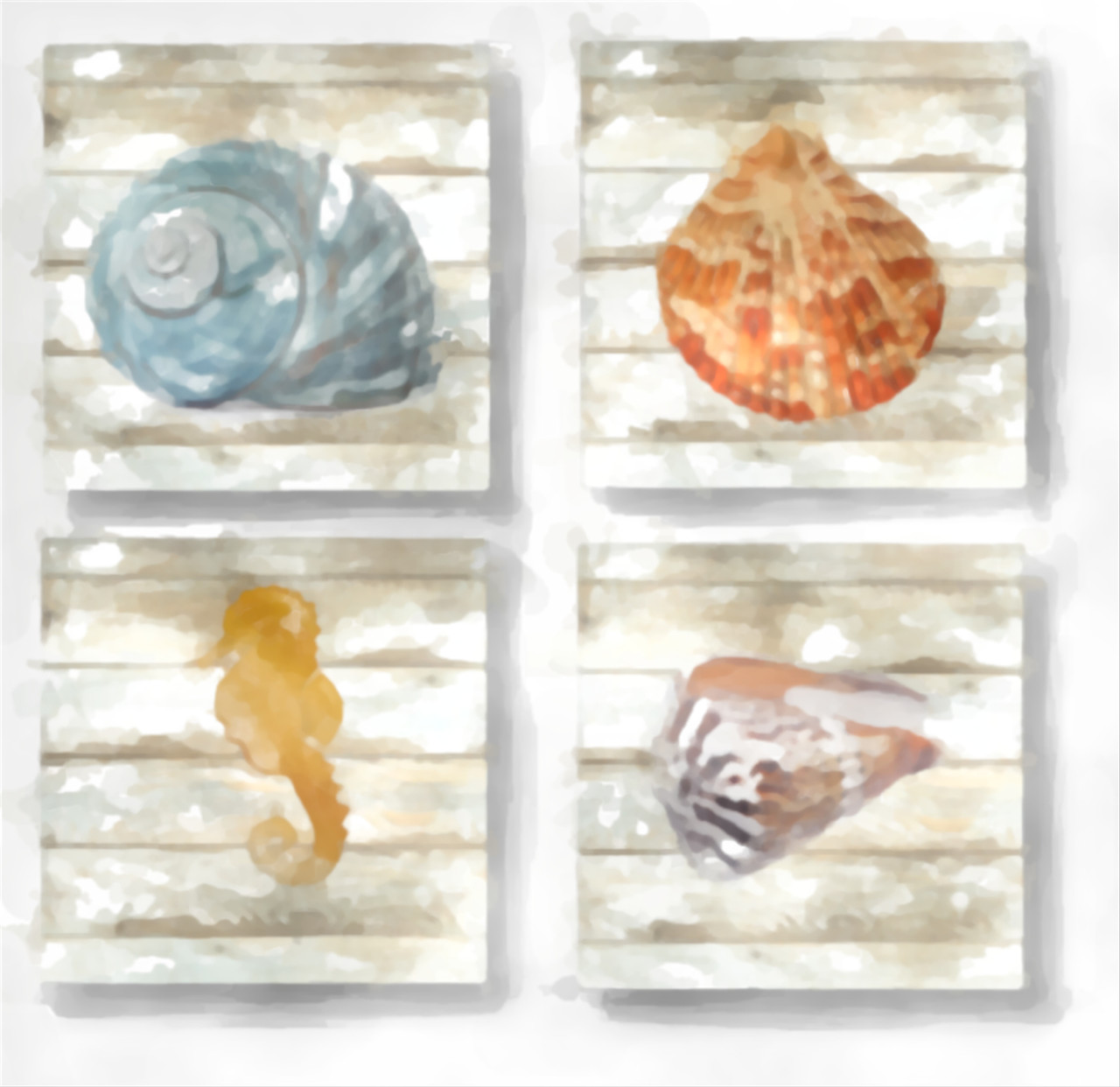 Set of 4 Coaters Sea Shells 3