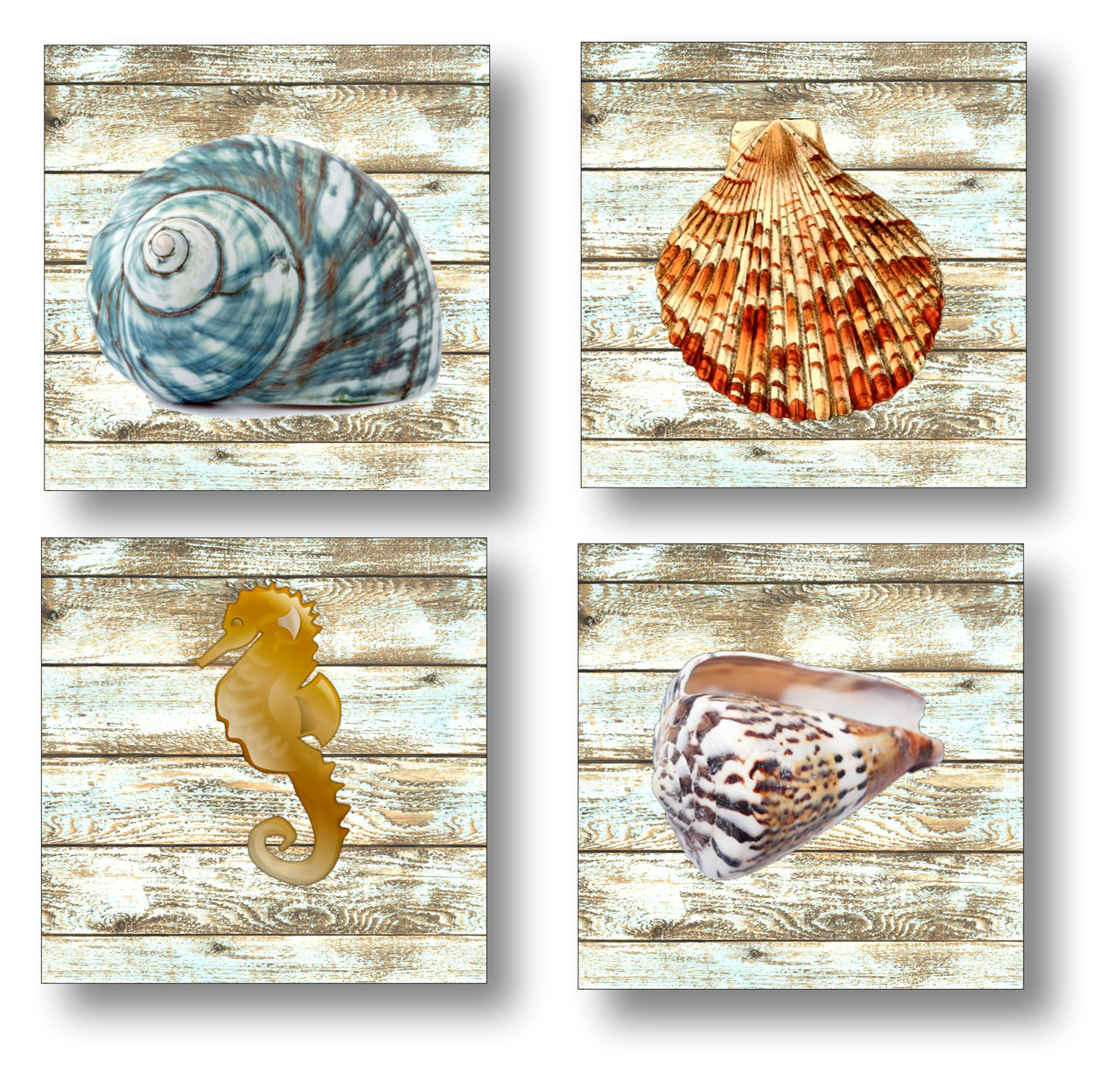 Set of 4 Coaters Sea Shells