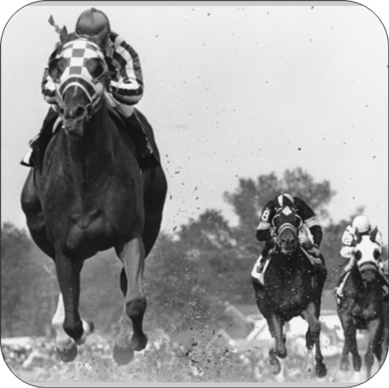 Set of 4 Coaters Secretariat Wins Belmont