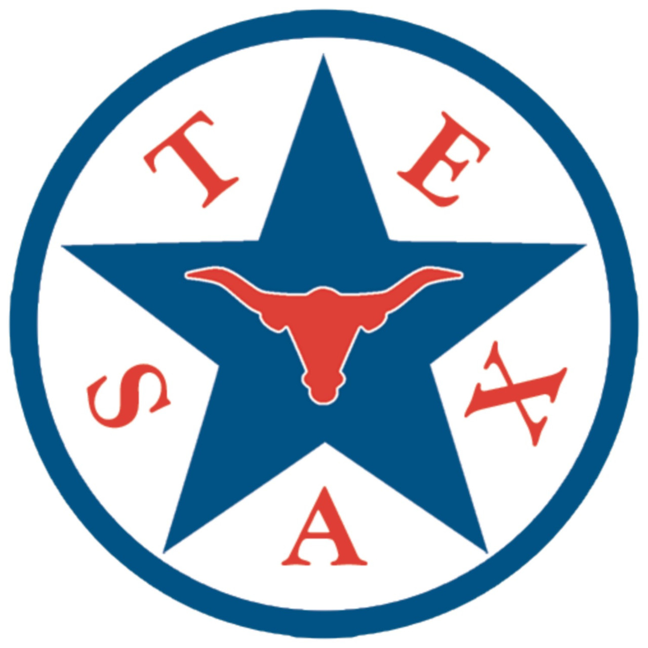 Set of 4 Coaters Texas-Star-In-Circle (2)