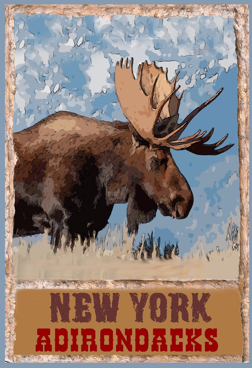 New York Adirondacks Travel  Poster