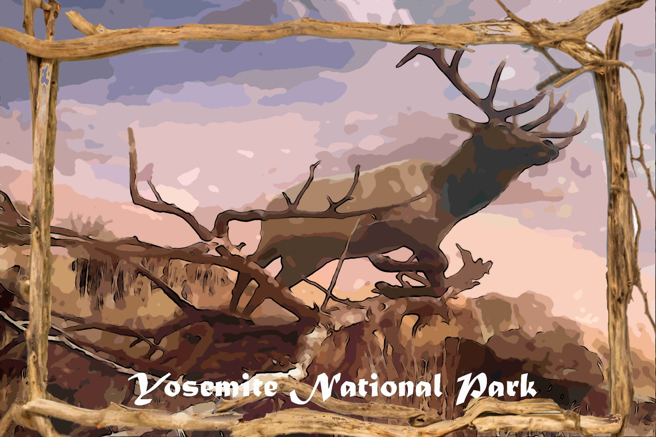 Yosemite National Park Travel  Poster