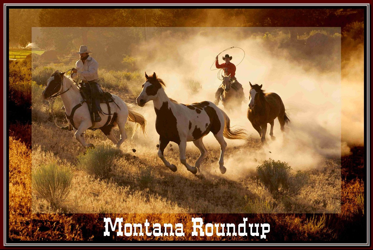 Roundup Wild Mustang Horses In Montana Travel  Poster