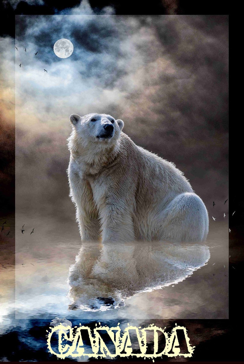 Save The Polar Bear Canada Travel  Poster
