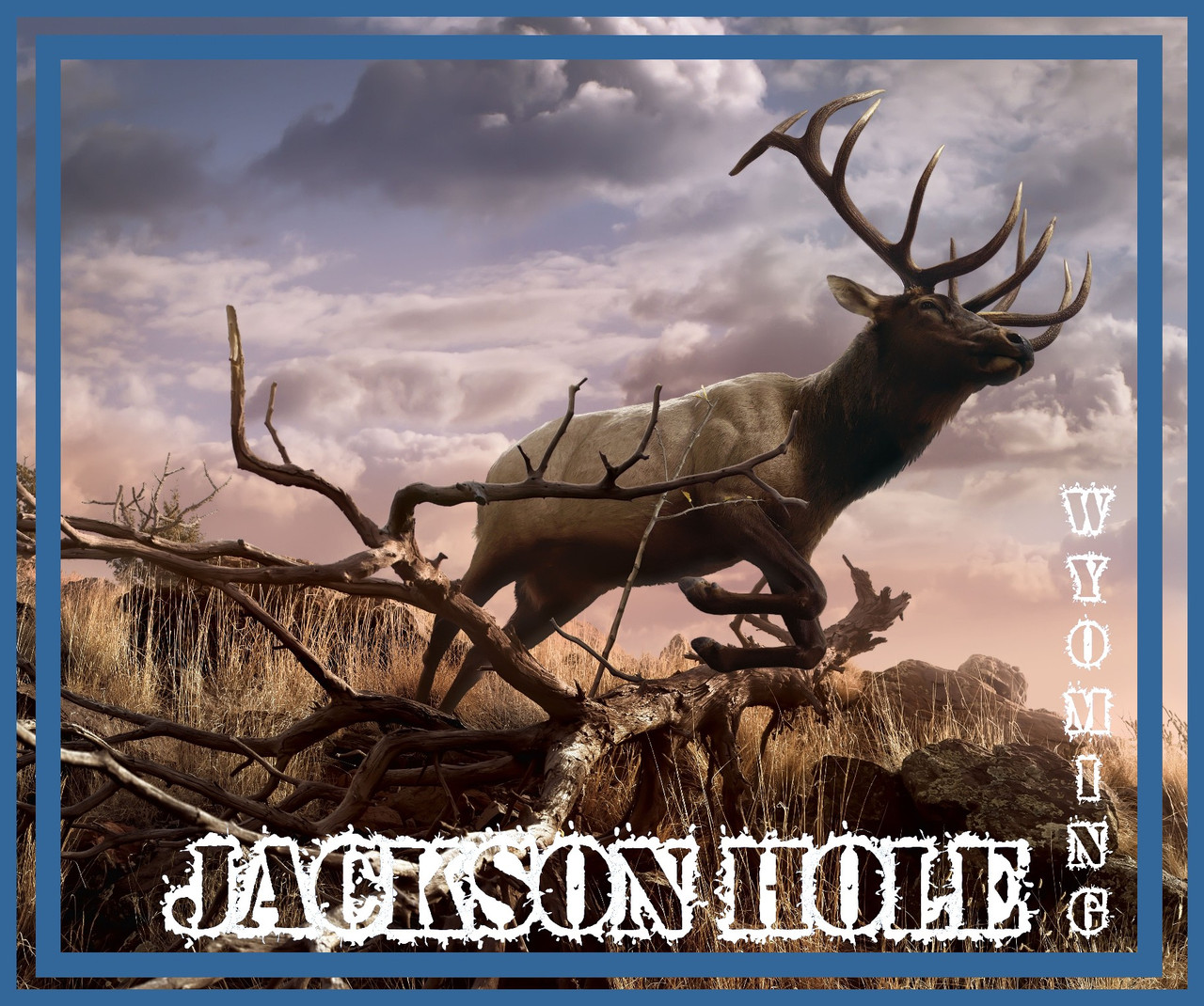 Jackson Hole Where Elk Roam The Wilderness Travel  Poster