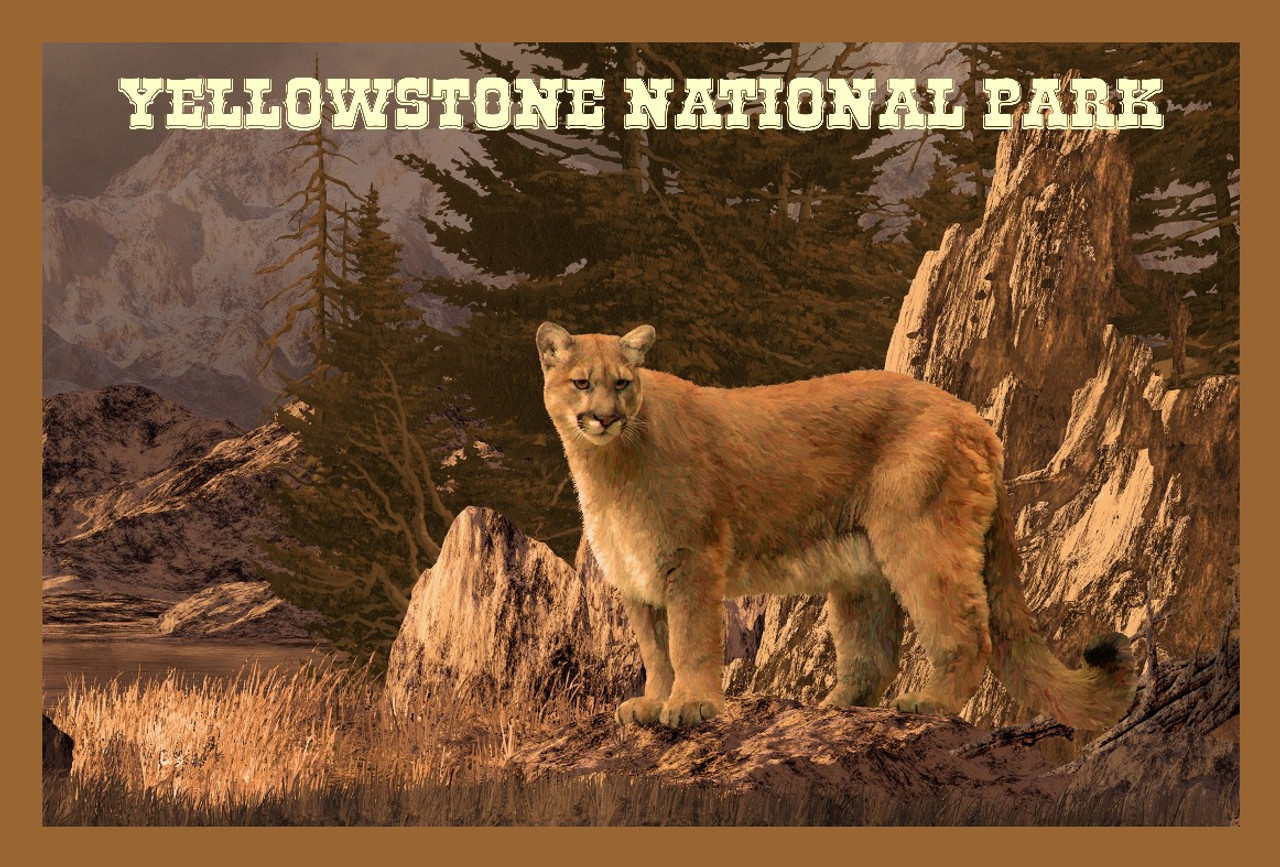 Yellowstone National Park Or You Might See A Mountain Lion