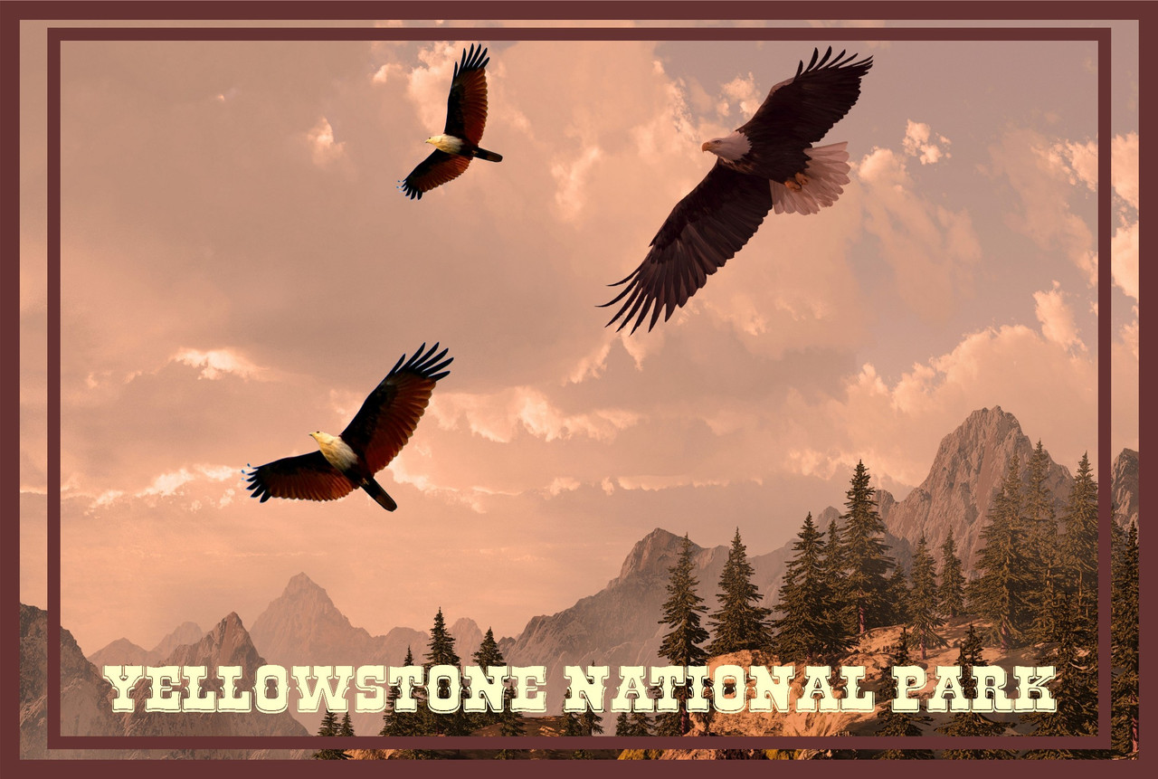 Yellowstone National Park Where Eagles Fly