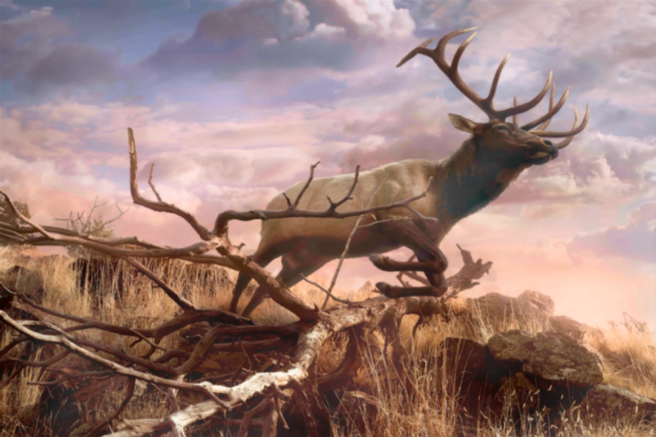 Elk Watercolor Travel Poster