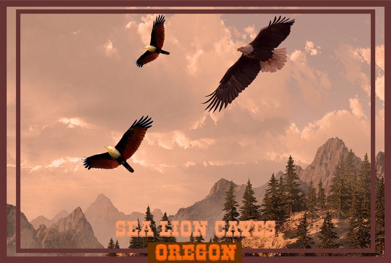 Sea Lion Caves Oregon Fight Of Bald Eagles Travel Poster