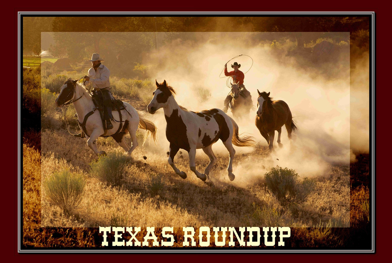 Texas  Wild Mustang Horse Roundup Travel Poster