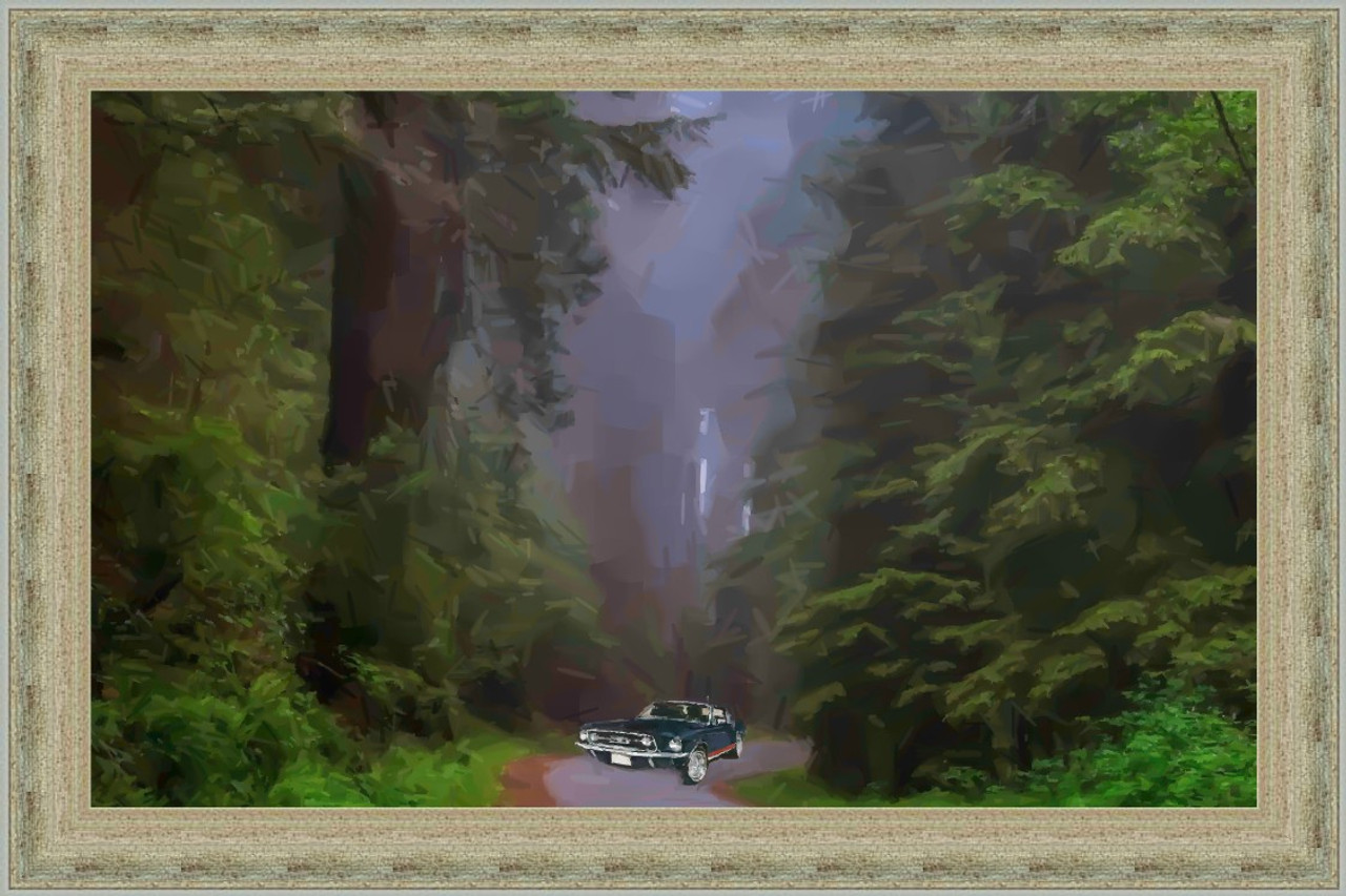 Redwood Photo 4 Travel Poster