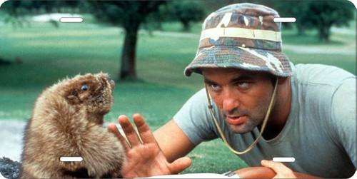 Bill Murray Caddyshack  Auto