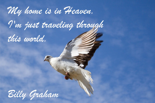 Famous Quote Poster  My Home Is In Heaven. I'm Just Traveling Through This World. Billy Graham